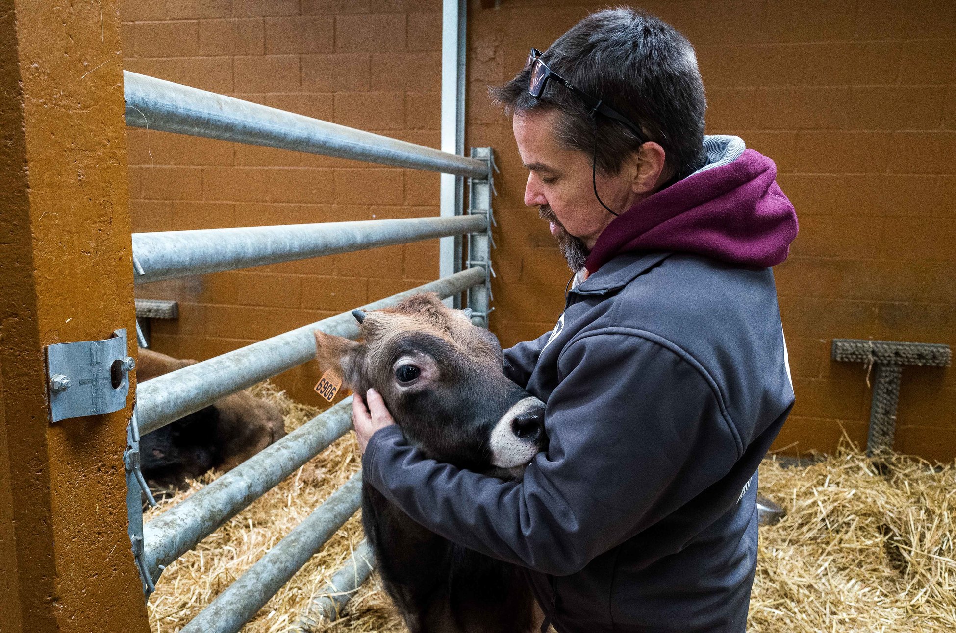 04022020_Animaux en péril - Belgique 7jpg
