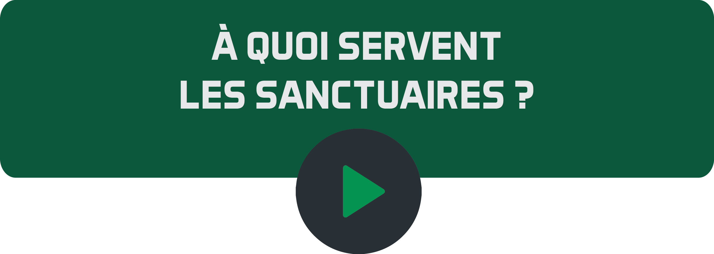 À quoi servent les sanctuaires.png