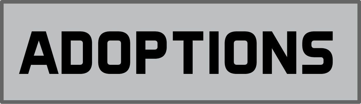 Adoptionspng