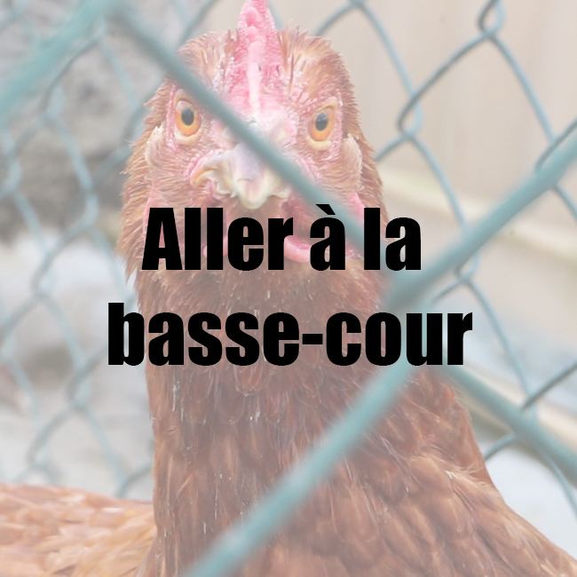 Aller à la basse-cour.jpg