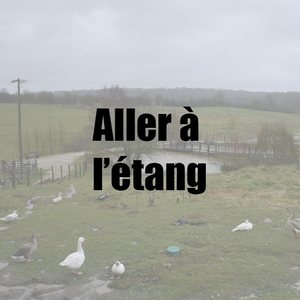 Aller à l'étang.jpg