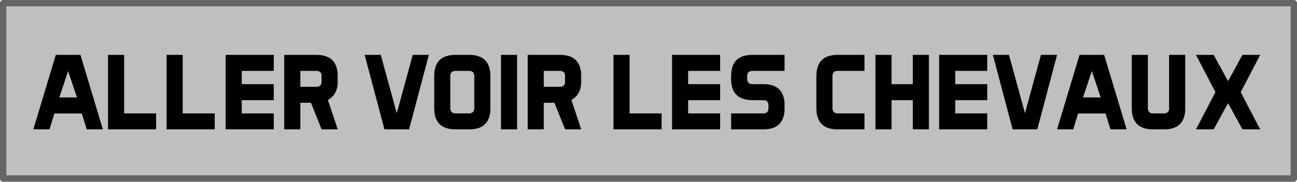 Aller voir les chevauxpng