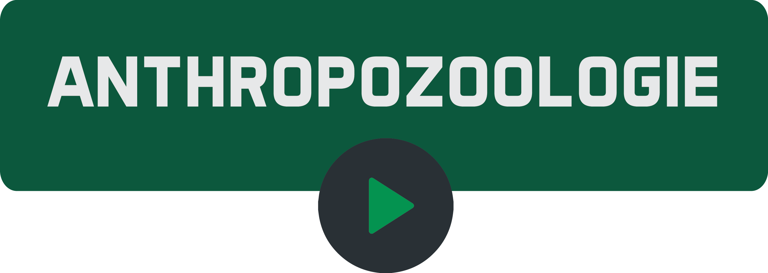 Anthropozoologiepng
