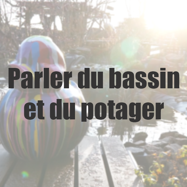 Bassin et potager.png