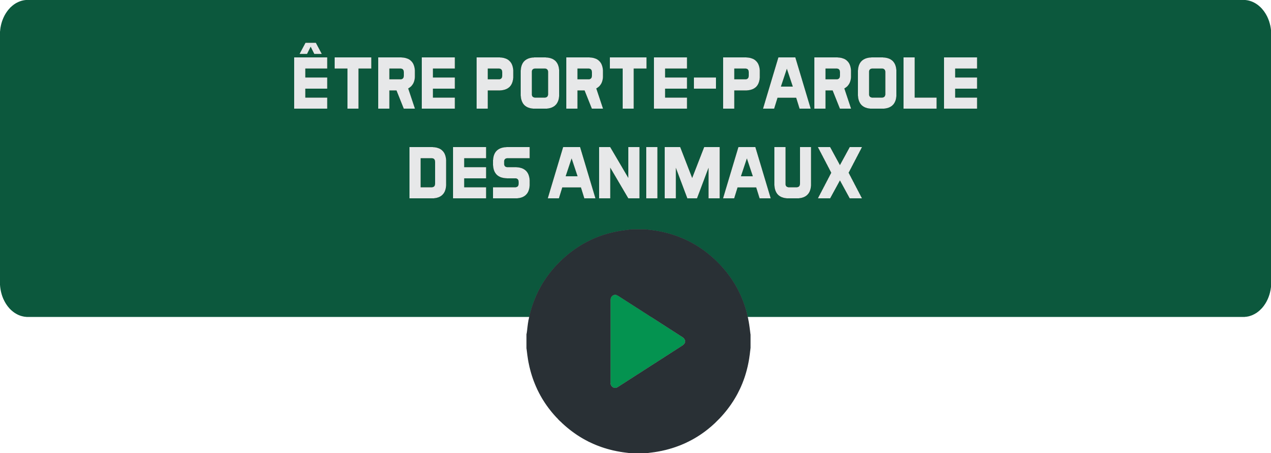 Bouton play Être porte-parole des animauxpng