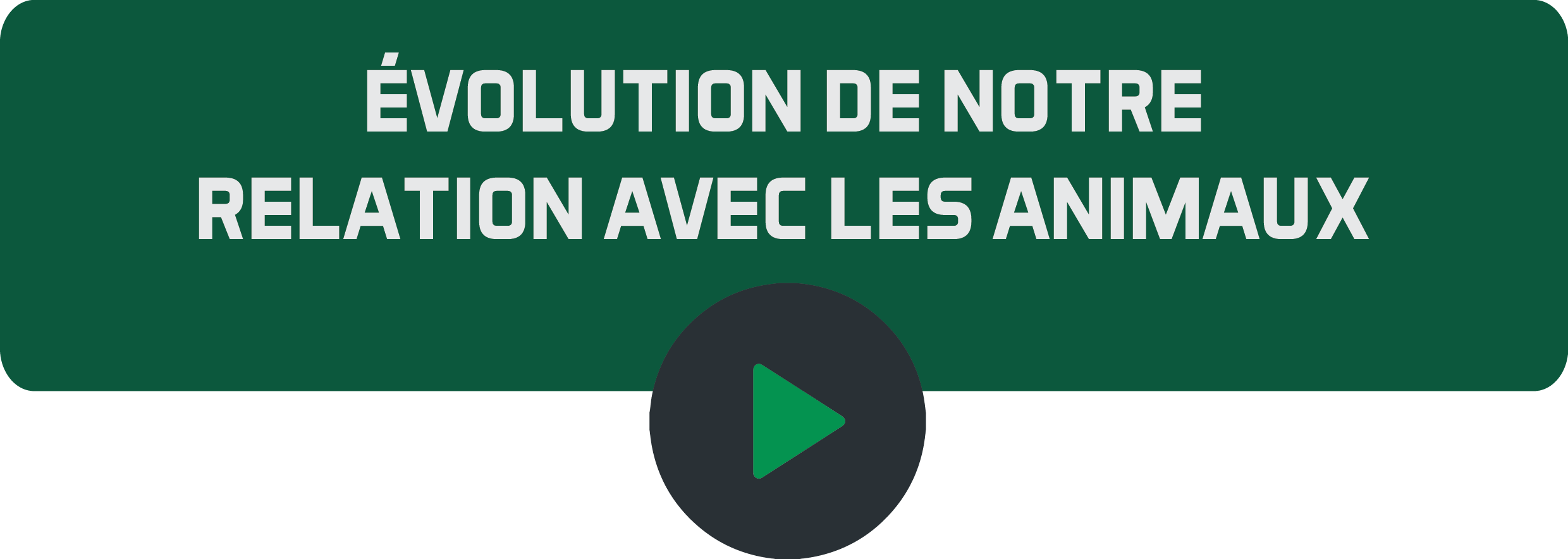 Bouton play Evolution de notre relation avec les a