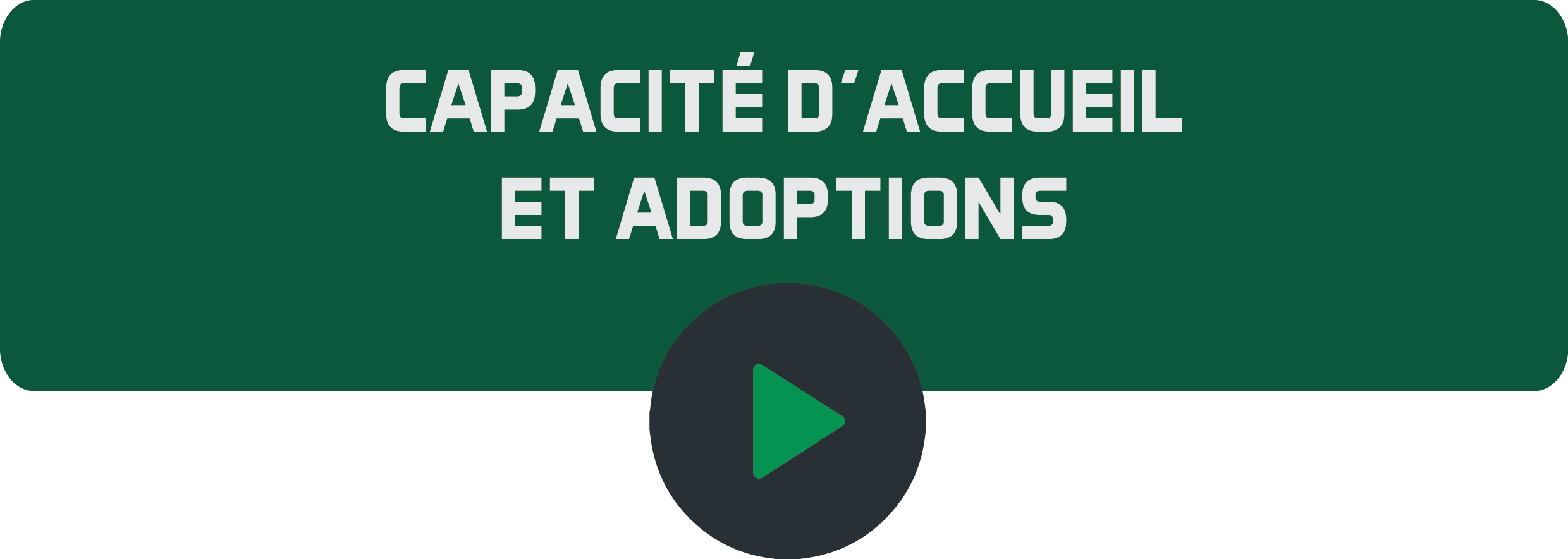 Capacité d'accueil et adoptions.png