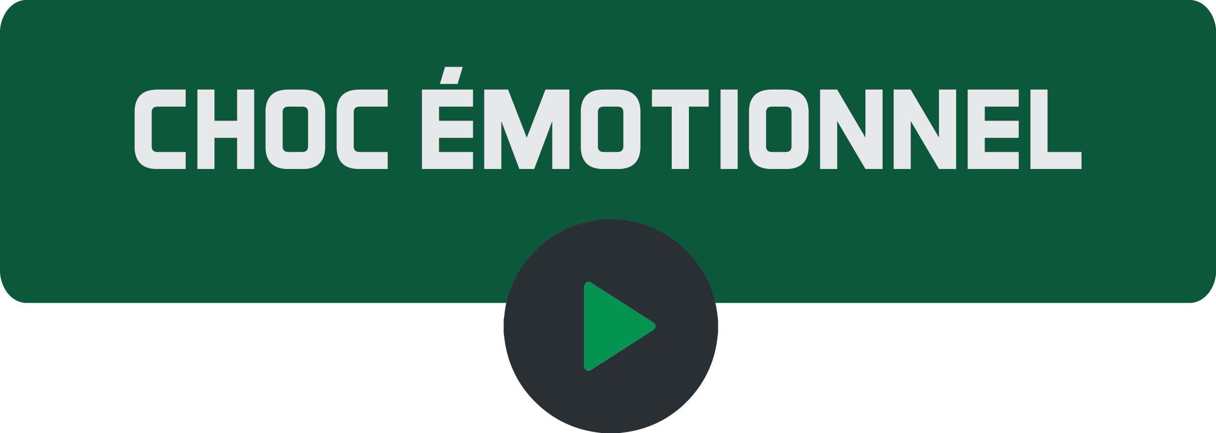 Choc émotionnel.png