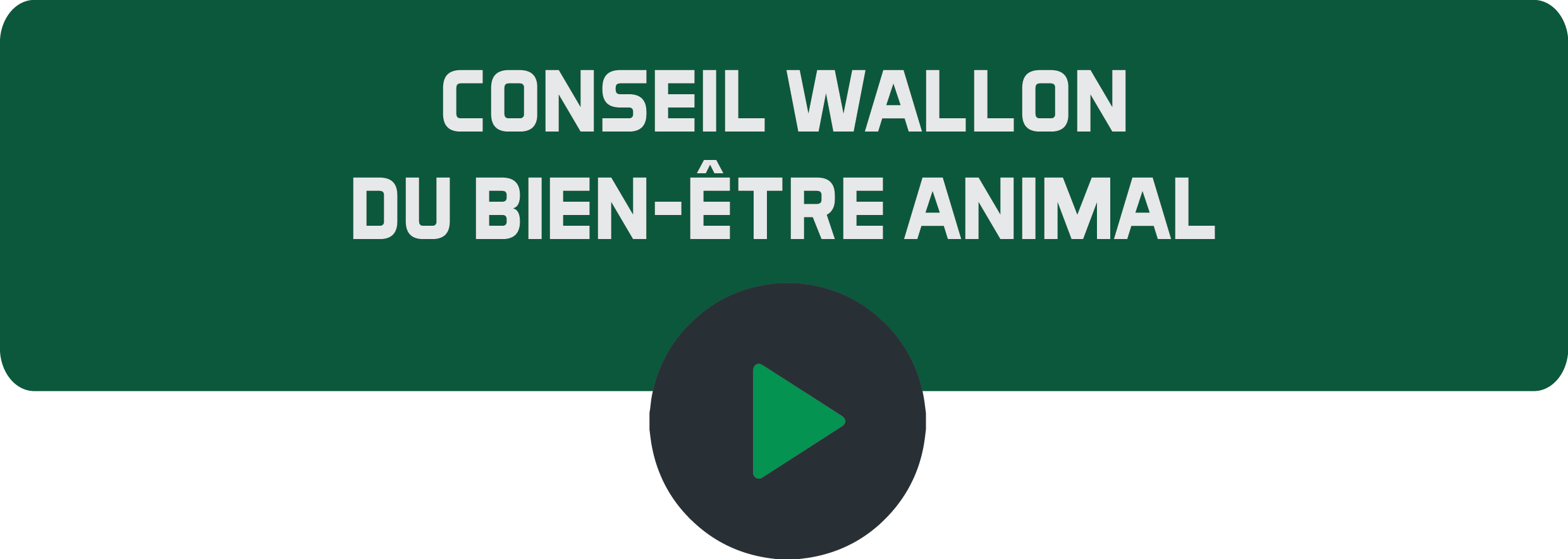 Conseil Wallon du bien-être animalpng