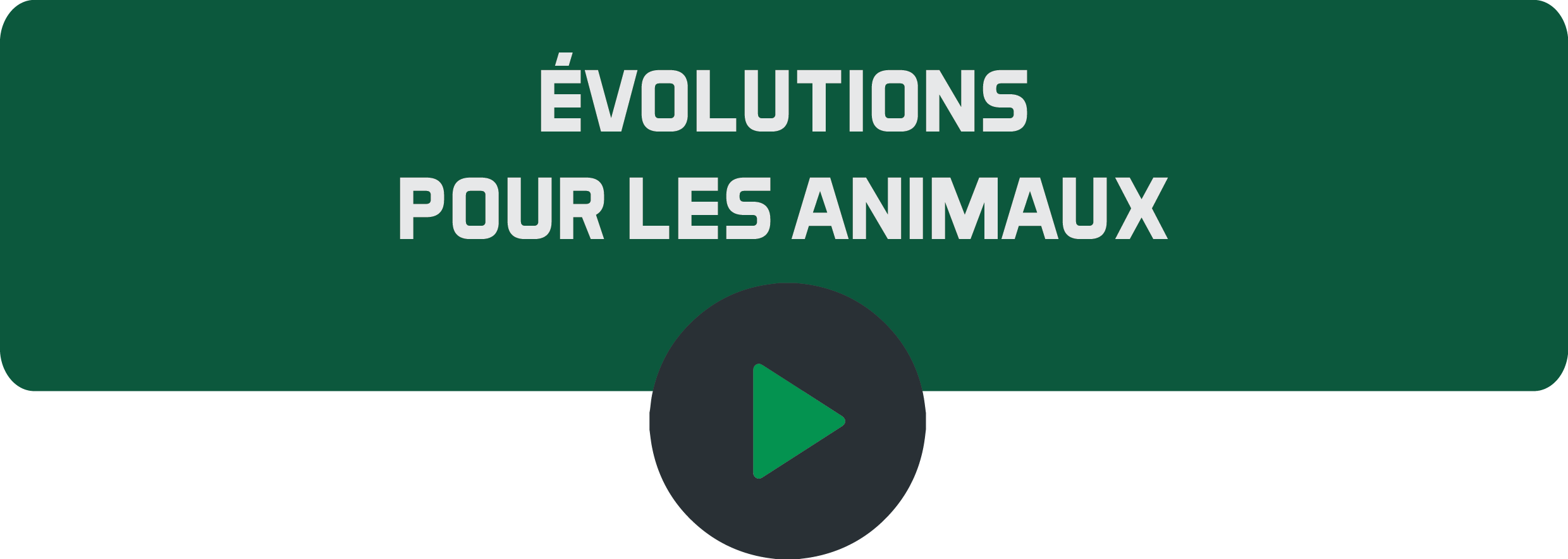 Évolution pour les animaux.png