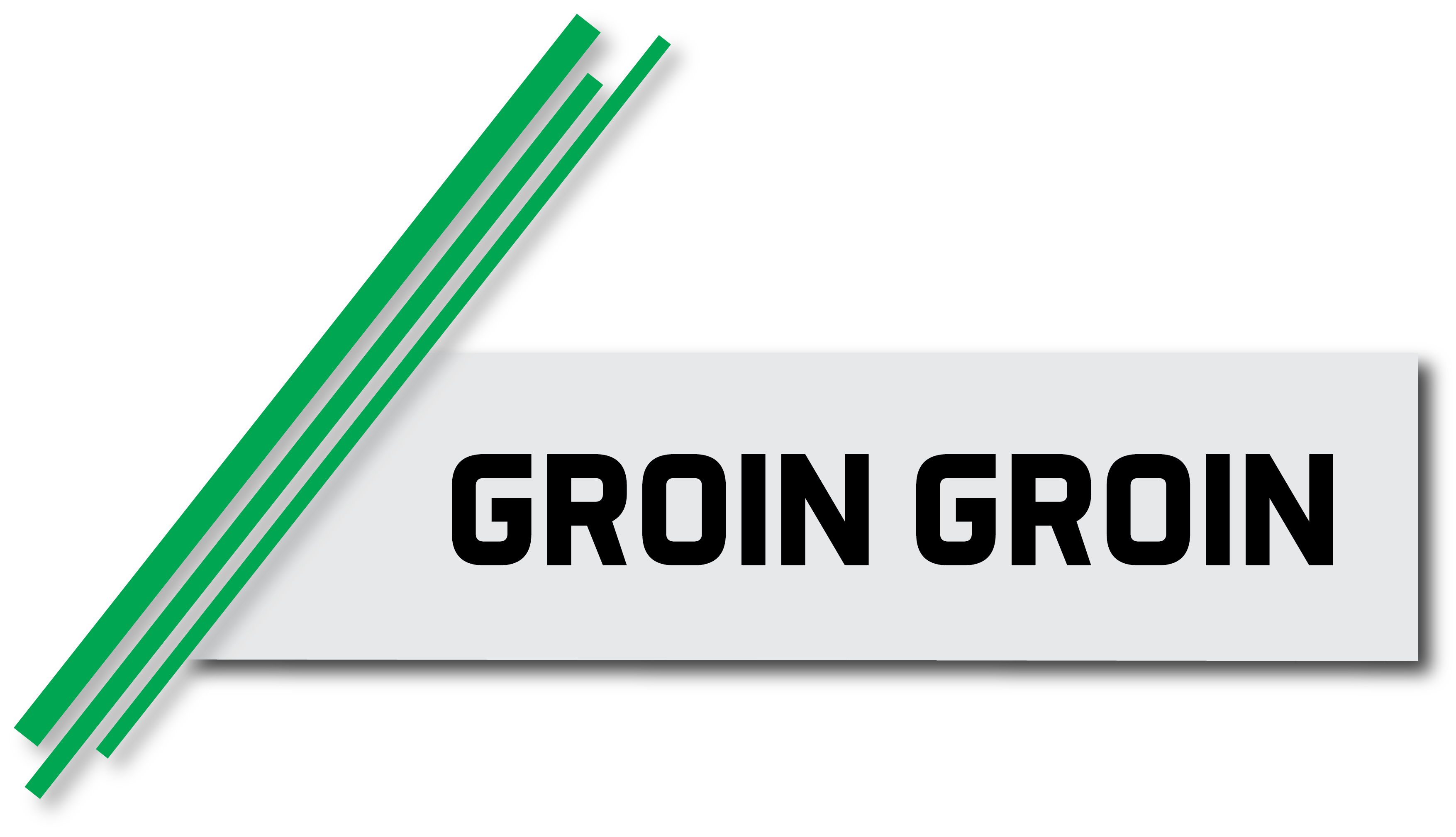 Titre Groin Groin