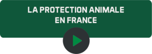 La proctection animale en Francepng