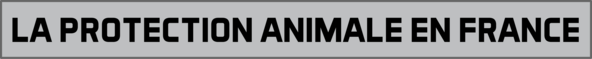 La protection animale en Francepng