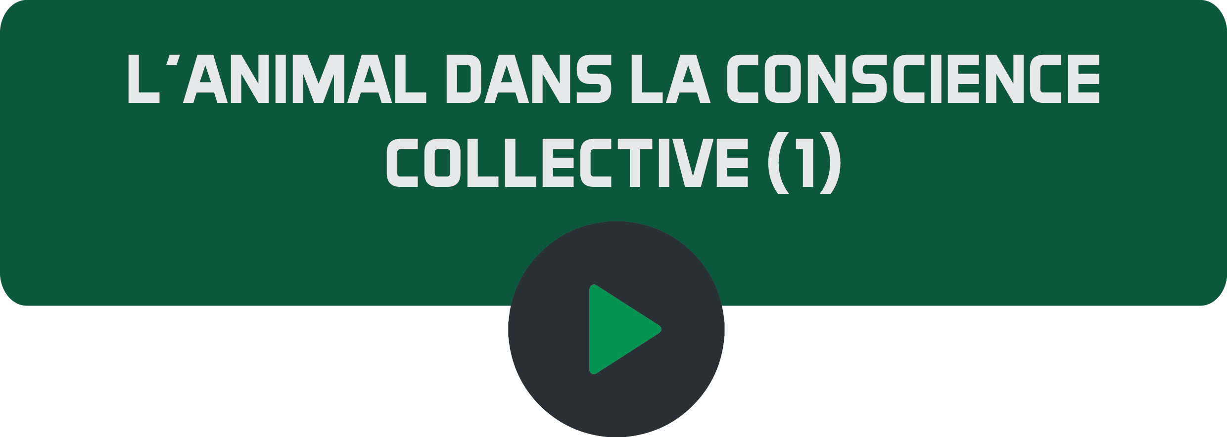 L'animal dans la conscience collective (1).png