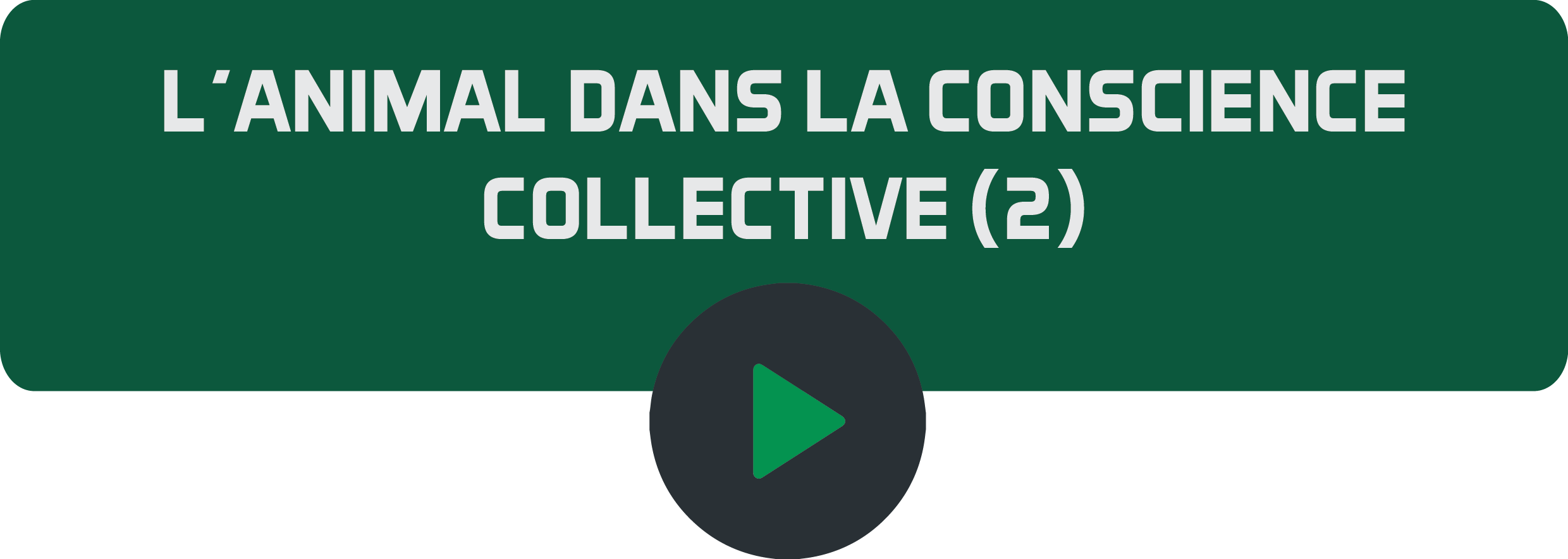 L'animal dans la conscience collective (2).png