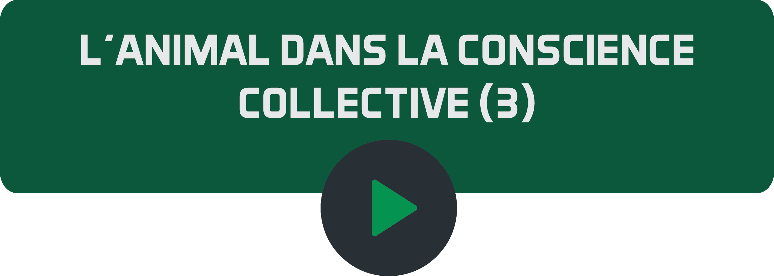 L'animal dans la conscience collective (3).png
