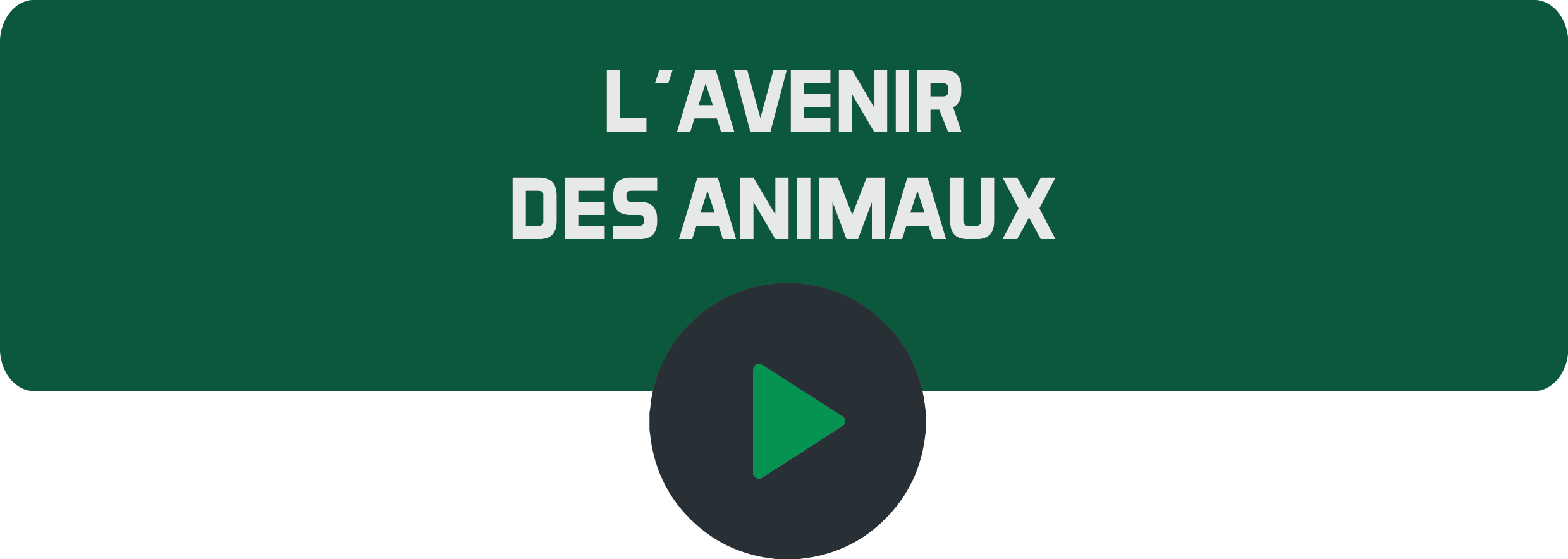 L'avenir des animaux.png
