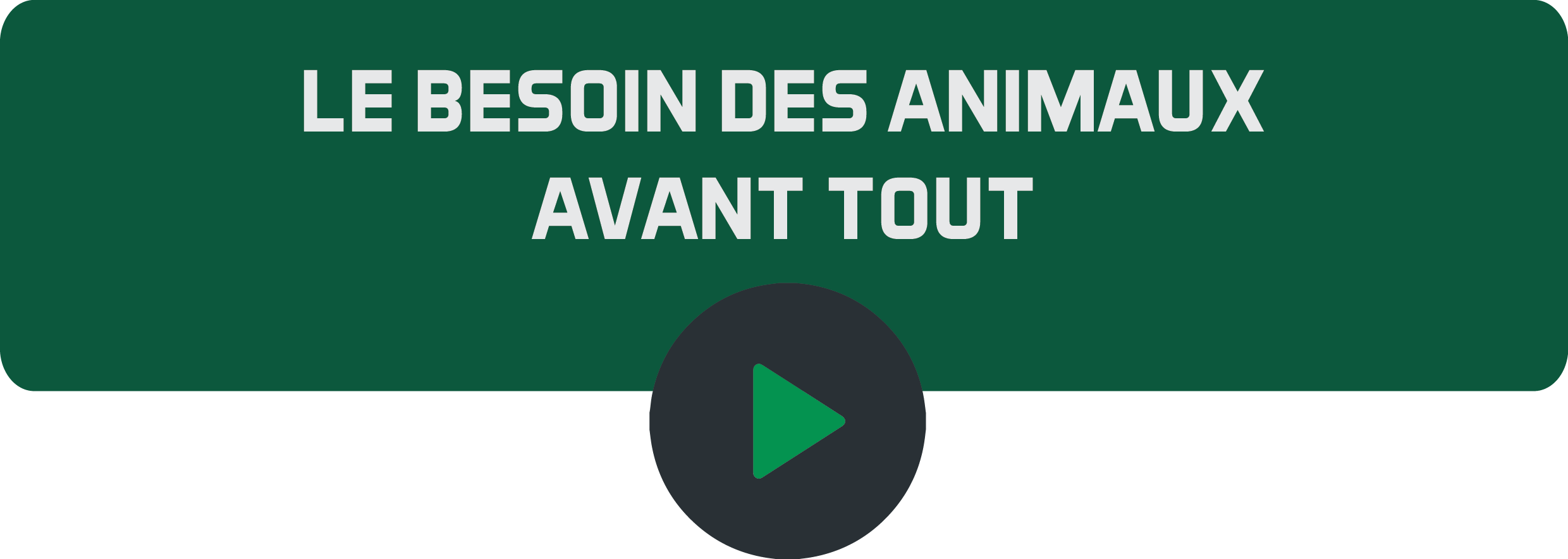 Le besoin des animaux avant tout.png