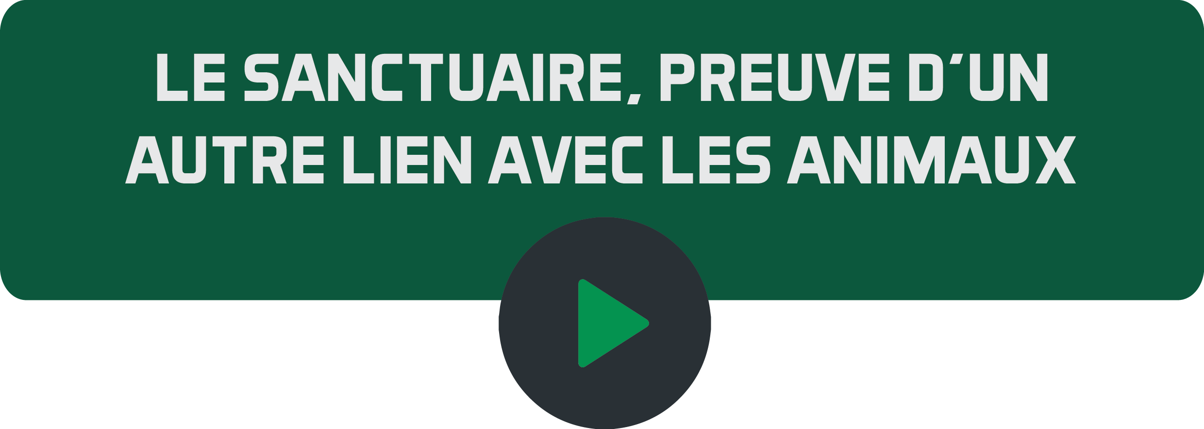 Le sanctuaire, preuve d'un autre lien avec les ani