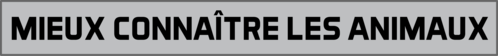 Mieux connaître les animauxpng