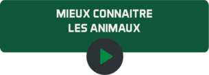 Mieux connaitre les animaux.png