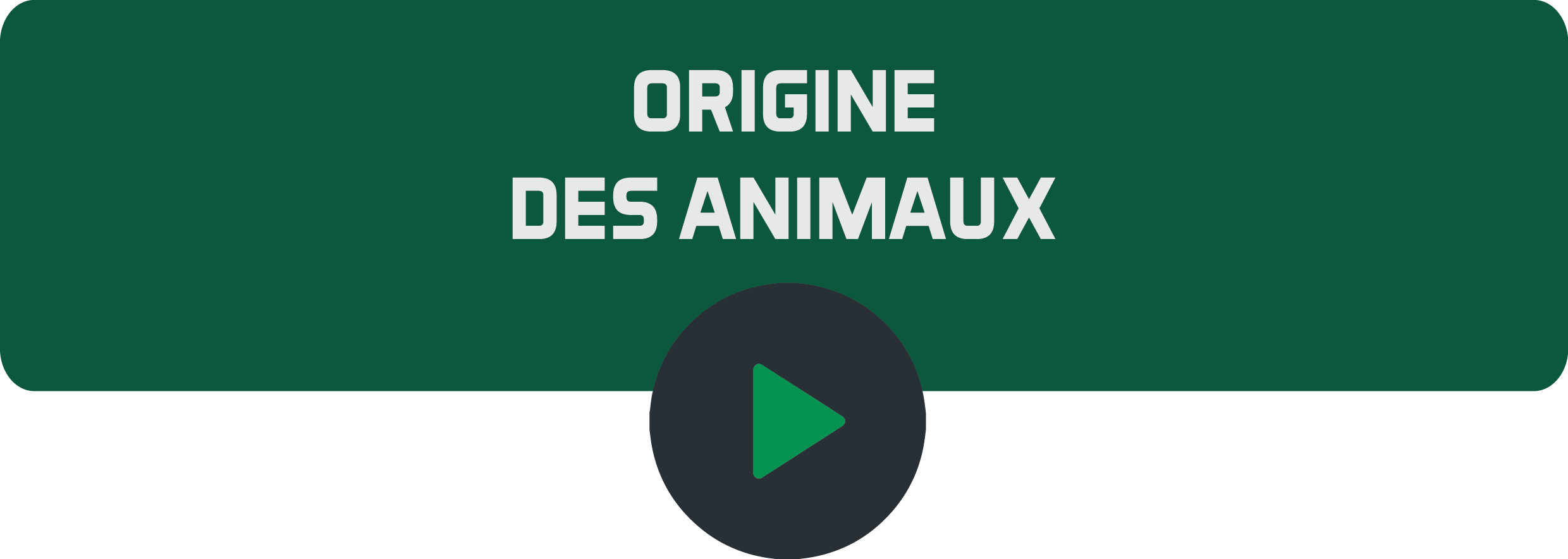 Origine des animaux.png