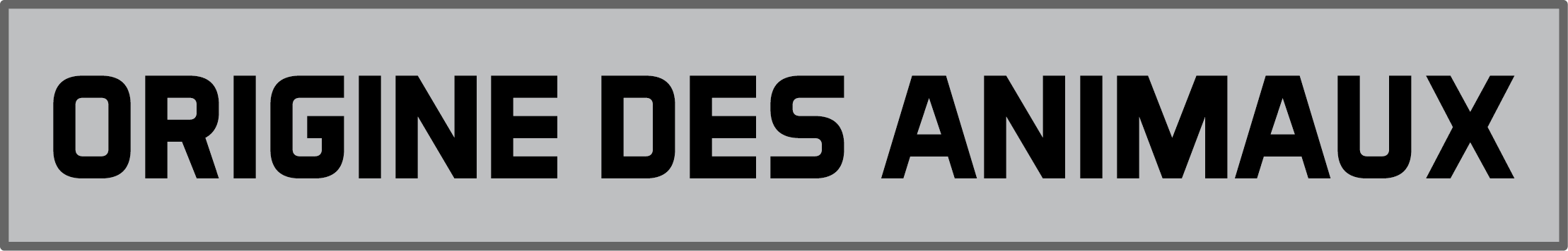 Orignine des animauxpng