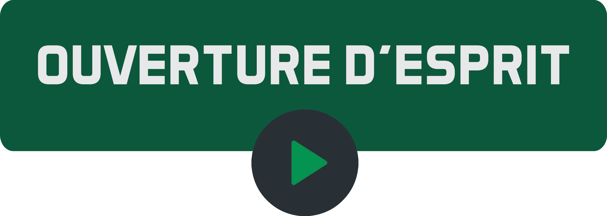 Ouverture d'esprit.png