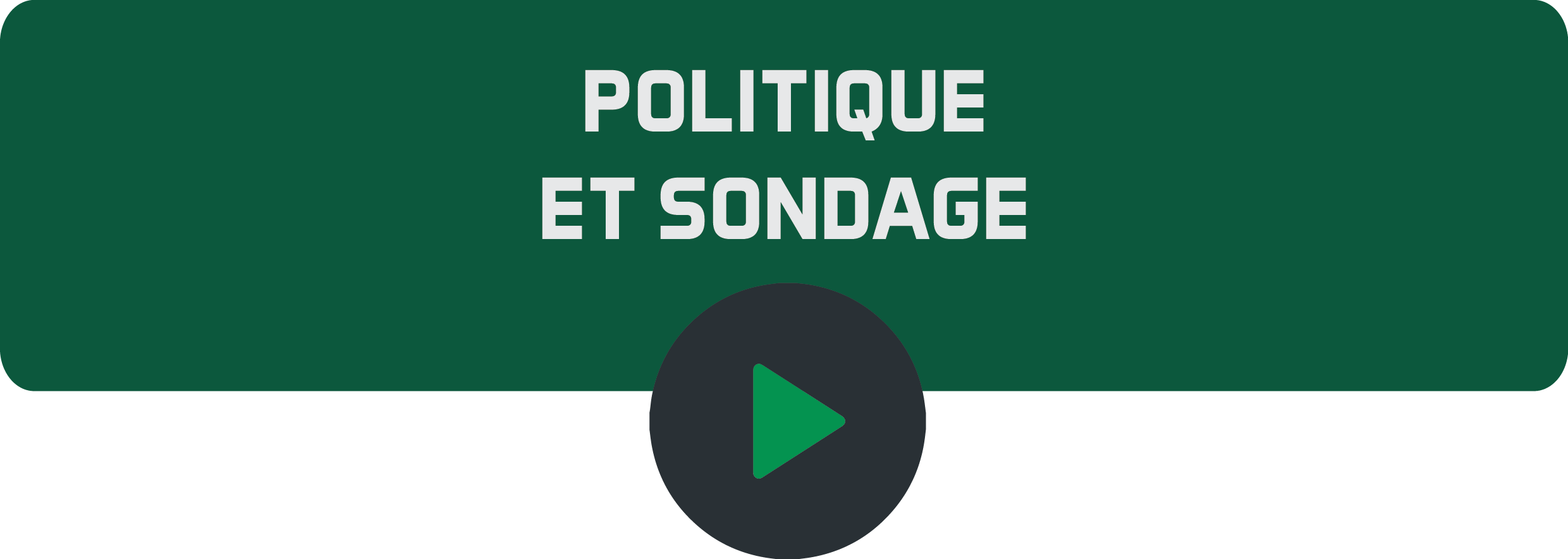 Politique et sondage.png