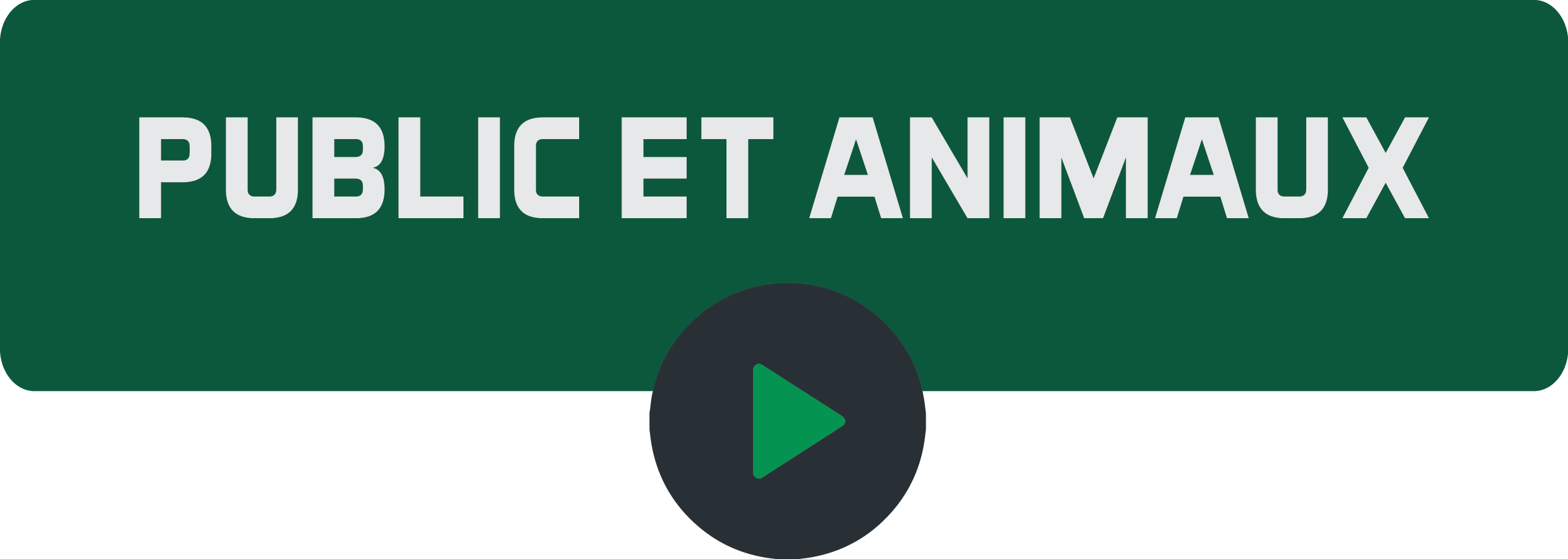 Public et animaux.png