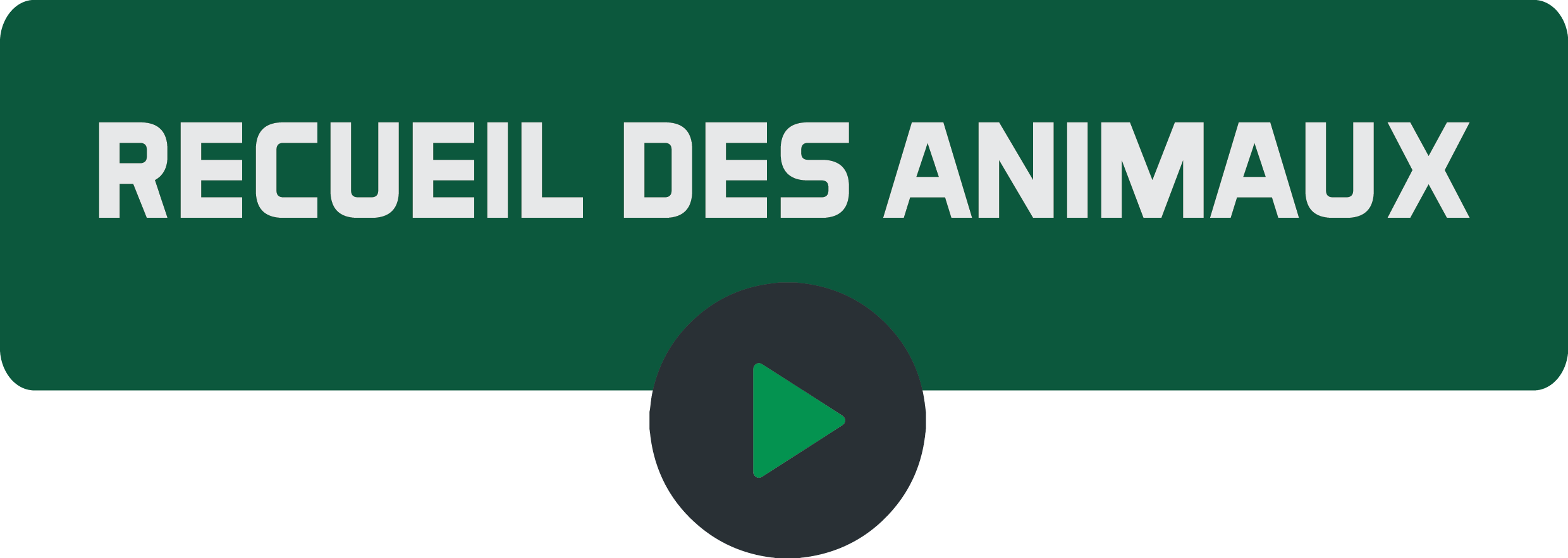 Recueil des animaux.png