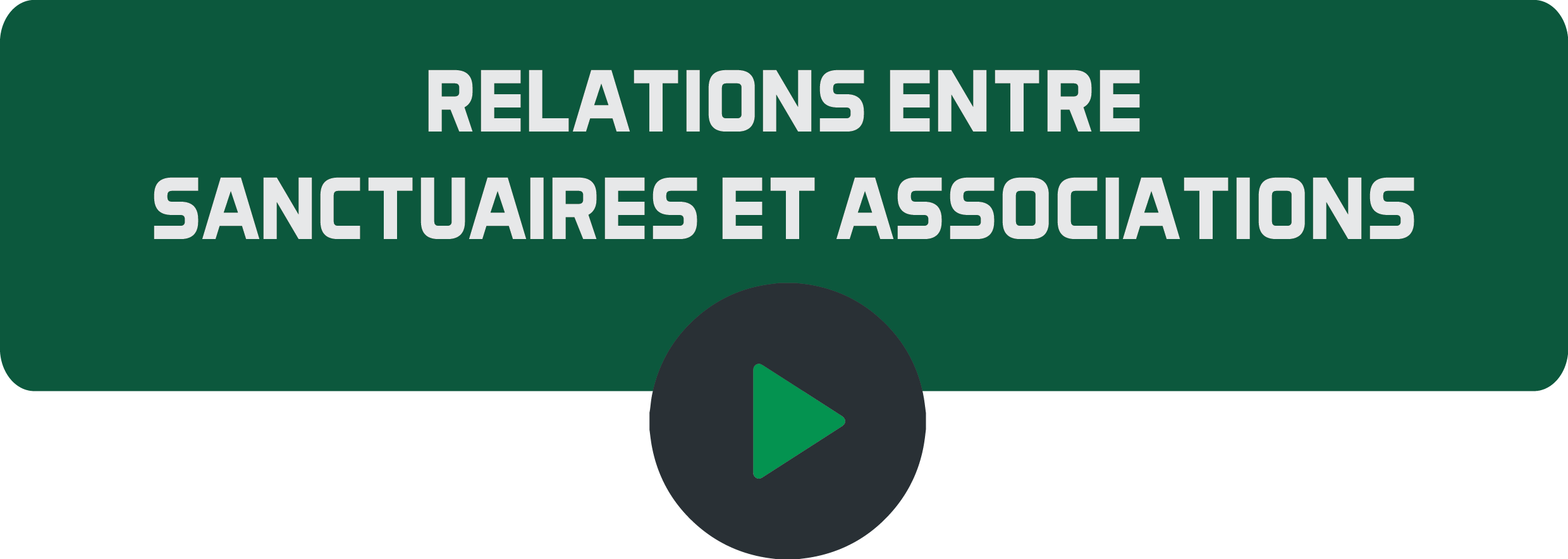 Relations entre sanctuaires et associations.png