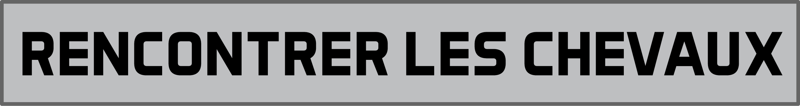 Rencontrer les chevauxpng