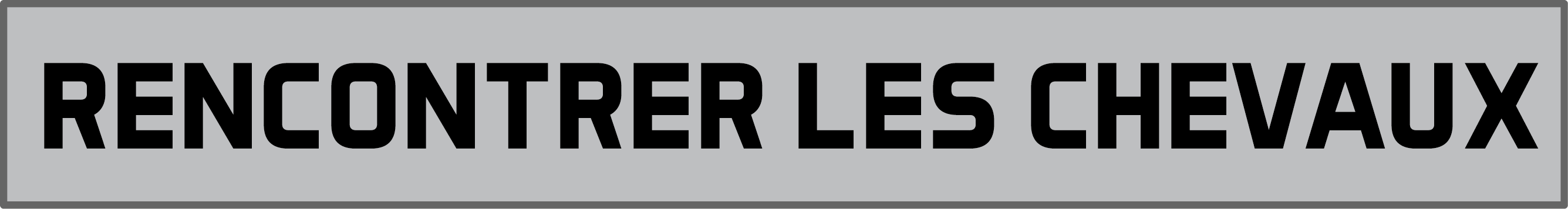 Rencontrer les chevauxpng