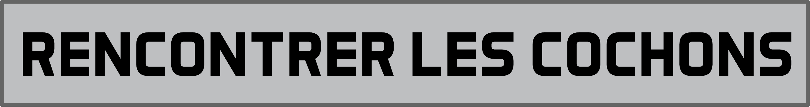 Rencontrer les cochonspng