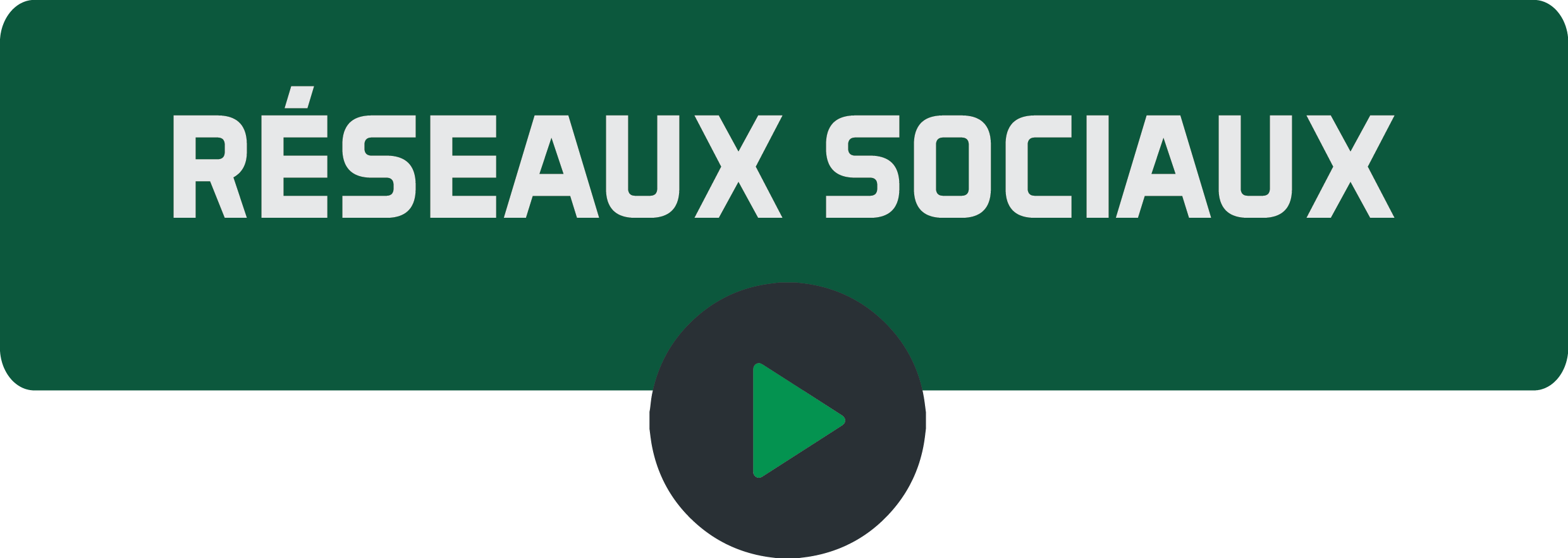 Réseaux Sociaux.png