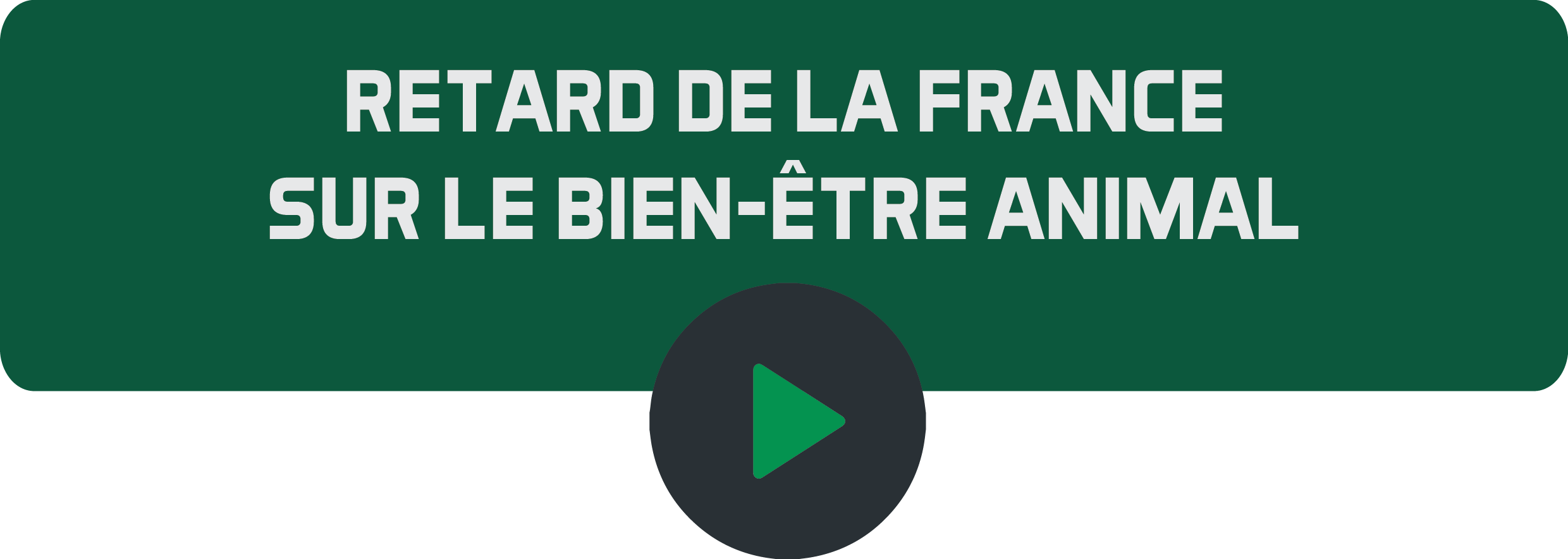 Retard de la France sur le bien-être animal.png