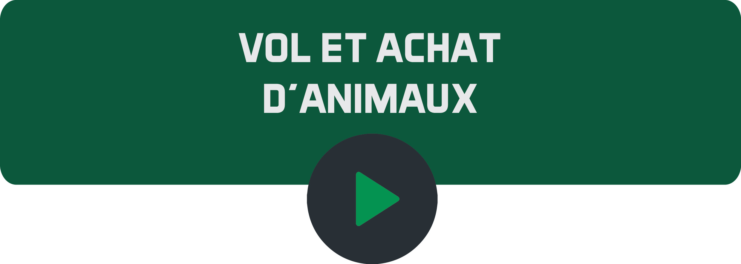 Vol et achat d'animaux.png